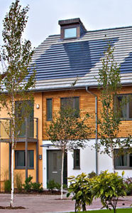 Graylingwell Park solar roof